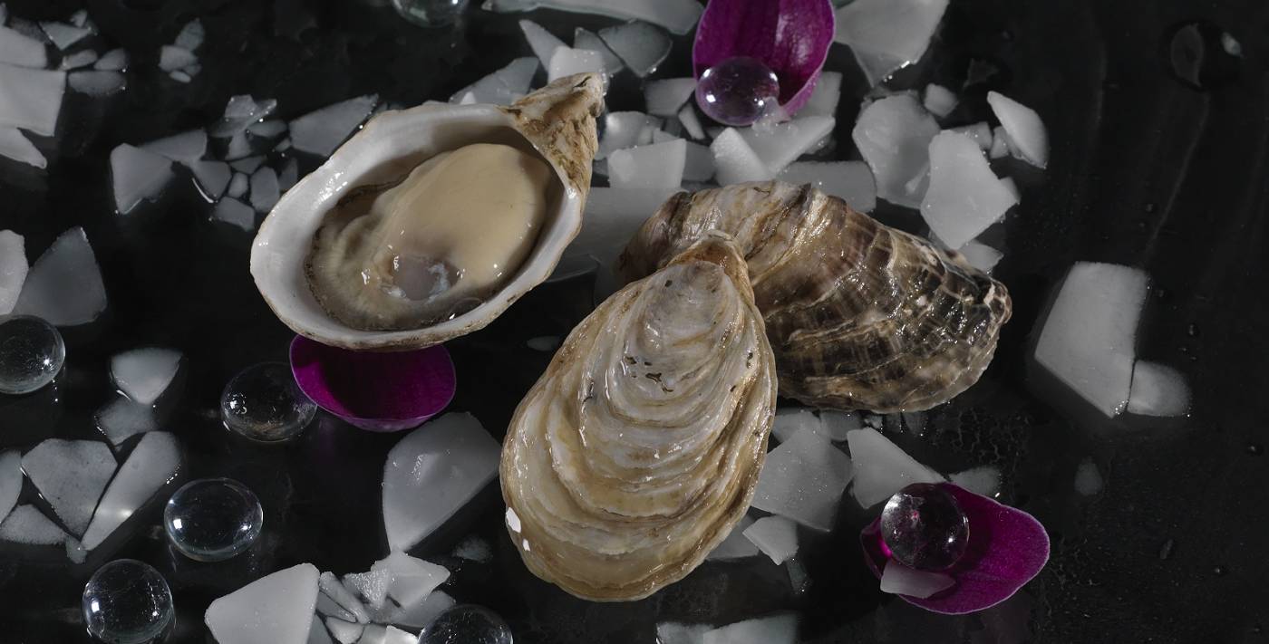 Premium Kusshi Oysters